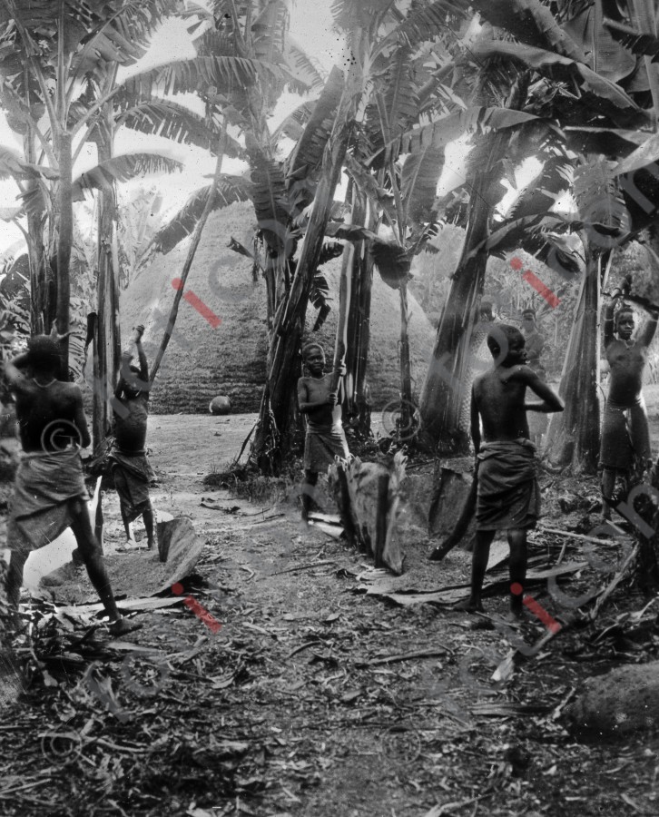 Kinder in einer Bananenanpfalnzung | Children in a banana plantation - Foto foticon-simon-192-024-sw.jpg | foticon.de - Bilddatenbank für Motive aus Geschichte und Kultur